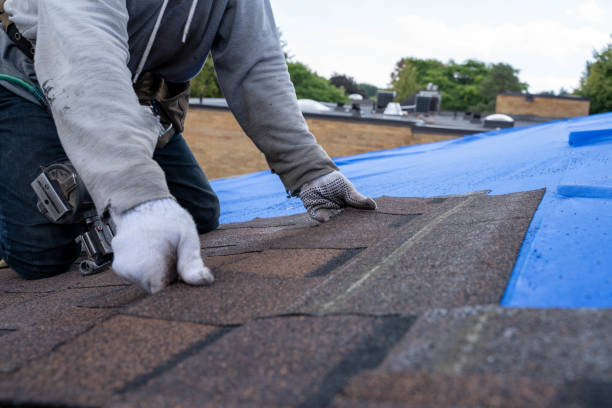 Best Flat Roof Repair Services  in La Follette, TN