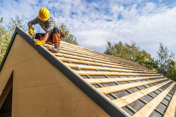 Best Roof Gutter Cleaning  in La Follette, TN