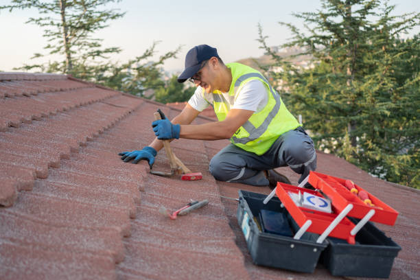 Best Emergency Roof Repair  in La Follette, TN