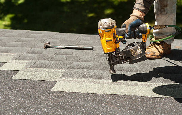 Best Roof Maintenance Services  in La Follette, TN